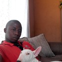 Soweto, Gauteng Rombas