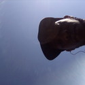 Vutha Gallery Photo 2
