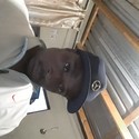 mlu8 From Germiston, Gauteng