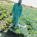 General Mo From Pretoria, Gauteng