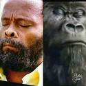 Braun From Nelspruit, Mpumalanga