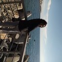 Pretty Gallery Photo 2