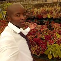 Bongza8 Gallery Photo 1