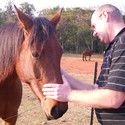 Willie20 From Pretoria, Gauteng